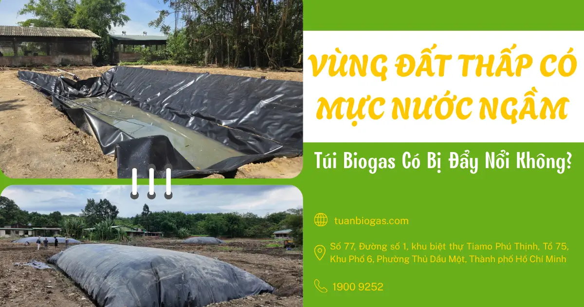 Vùng Đất Thấp Có Mực Nước Ngầm, Túi Biogas Có Bị Đẩy Nổi Không?